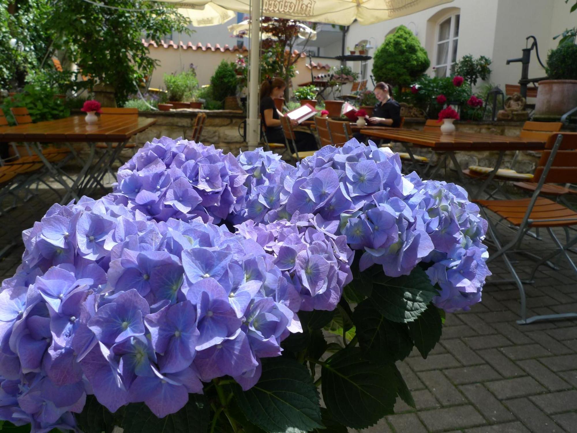 Hotel-Restaurant Roter Ochsen Lauchheim Екстер'єр фото
